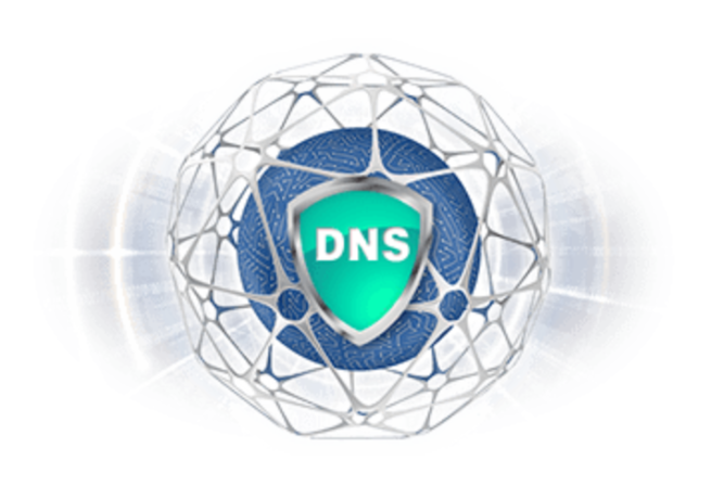 Protecting Against DNS Vulnerabilities: Strategies and Best Practices 1 DNS 2024