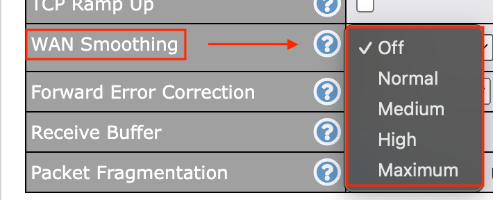 Peplink WAN Smoothing