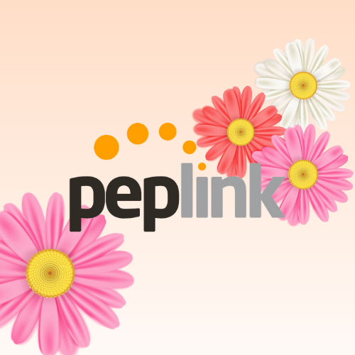 Peplink spring deals