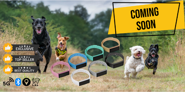 5G Dog Collar