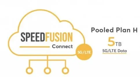 Peplink Global eSIM Data - Pooled Plan H - *SFC-CNP-H