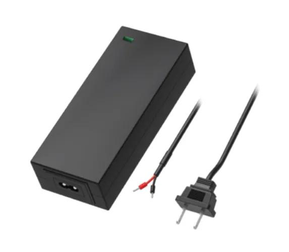 Teltonika US 2-PIN POWER SUPPLY (62 W) for TSW devices - PR317USA