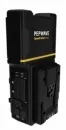 Peplink SpeedFusion Engine 2x Cat 6 ABG Mount